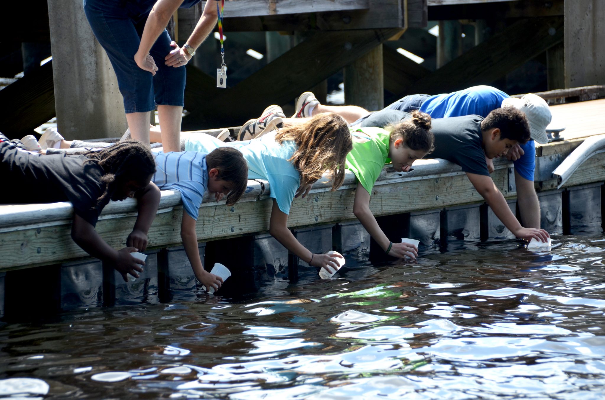 Mayport elementary fish release